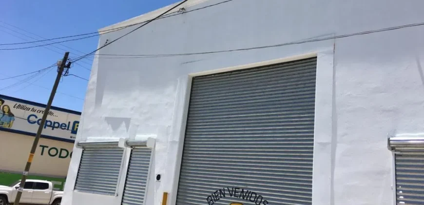 Bodega Renta Av. Tecnológico 29,000 GL1