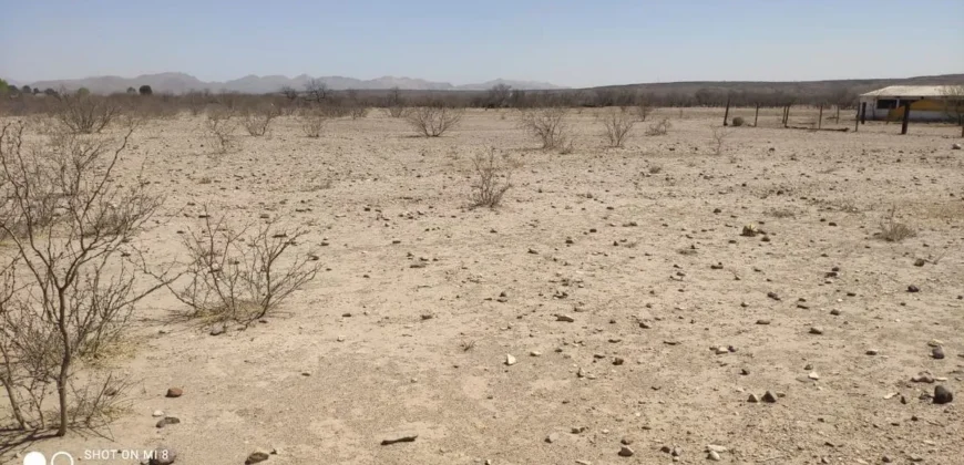 Terreno Venta Carretera Libre Chihuahua – Juárez 300,000 Evehue GL5