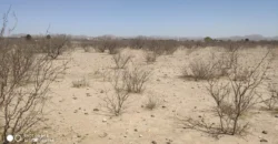Terreno Venta Carretera Libre Chihuahua – Juárez 300,000 Evehue GL5