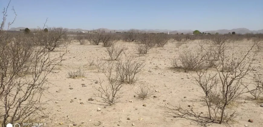 Terreno Venta Carretera Libre Chihuahua – Juárez 300,000 Evehue GL5