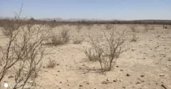 Terreno Venta Carretera Libre Chihuahua – Juárez 300,000 Evehue GL5