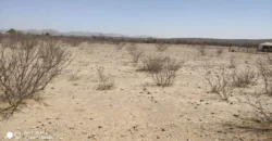 Terreno Venta Carretera Libre Chihuahua – Juárez 300,000 Evehue GL5