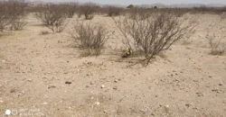 Terreno Venta Carretera Libre Chihuahua – Juárez 300,000 Evehue GL5