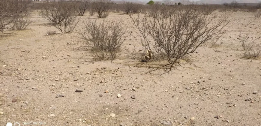 Terreno Venta Carretera Libre Chihuahua – Juárez 300,000 Evehue GL5