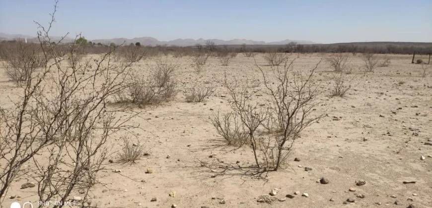 Terreno Venta Carretera Libre Chihuahua – Juárez 300,000 Evehue GL5