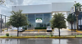 Local alquilado por Ortiz Mena 95.000 GL1