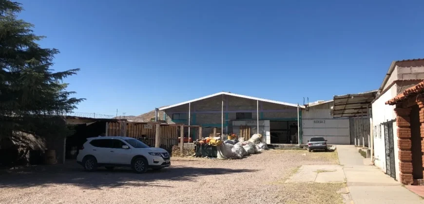Bodega Las Ánimas Renta 11,500,000 GL1