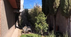 Bodega Las Ánimas Renta 11,500,000 GL1