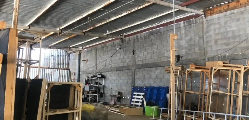 Bodega Las Ánimas Renta 11,500,000 GL1